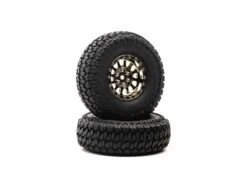 Duratrax Class 1 Scaler CR C3 Mntd 1.9 Blk/Chr (2)